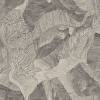 Pave gray
