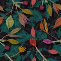 Pile of leaves 1