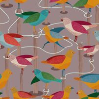 Tweet Tweet
