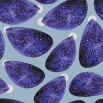 Universe in a shell (Licensed by Robin Sprong)