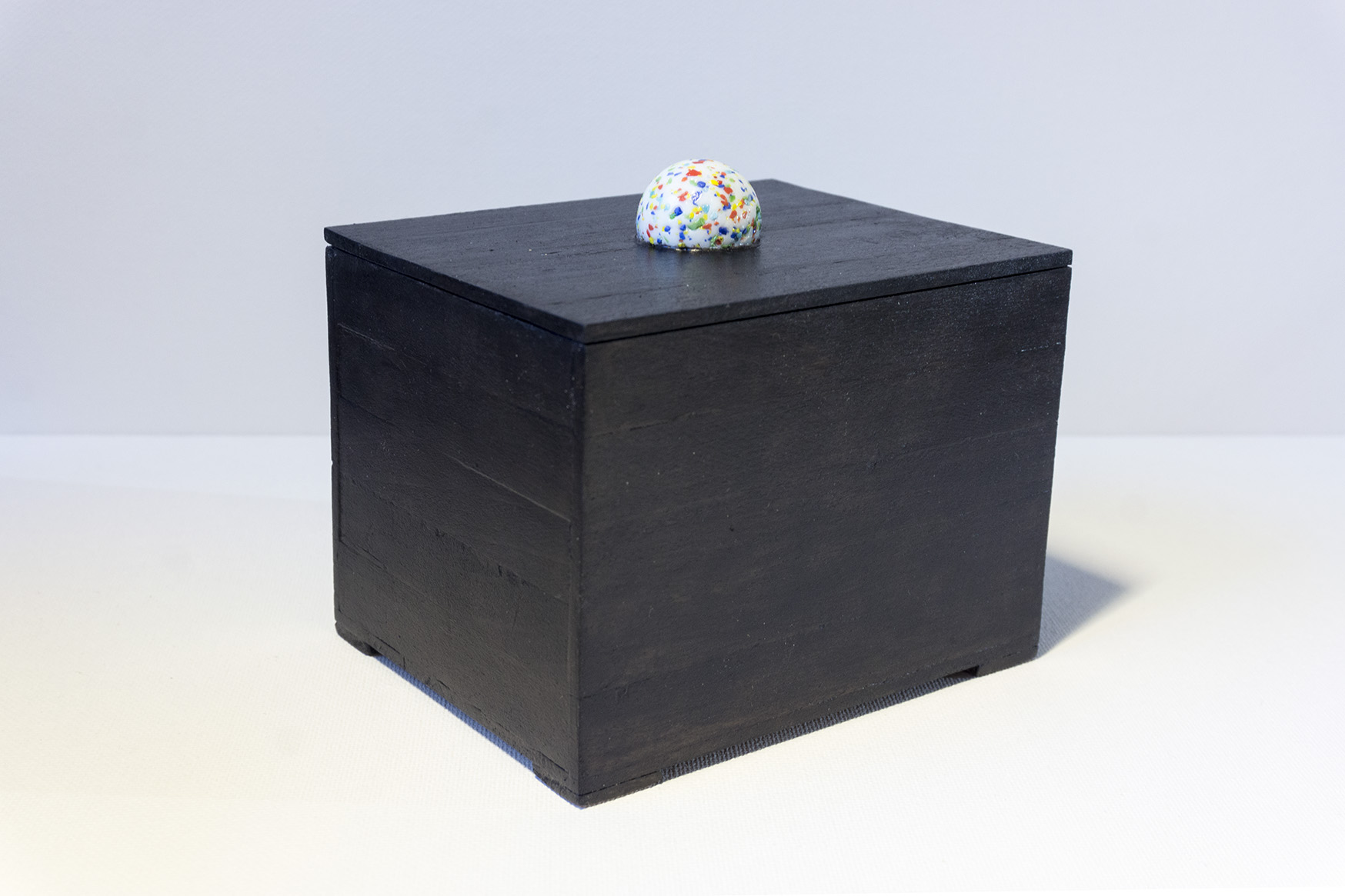 AlexanderFelsingMiniHomeGalleryBox2Liten
