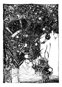 unnamed (6)