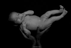 _DSC4978N