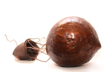 THE SA ANDRÉE BALLOON
