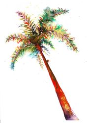 OJAI PALM