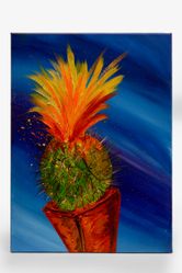 FLOWERING CACTI