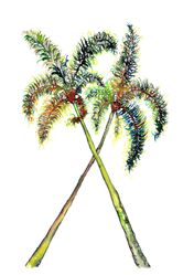CROSSED PALMS 