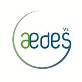 Aedes