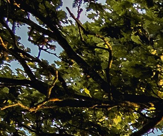 unsplash_Zm2n2O7Fph4