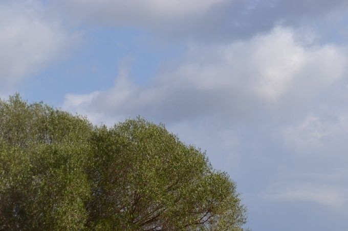 BOERDERIJ/ ECO LODGE / VILLA VOOR 10 PERSONEN