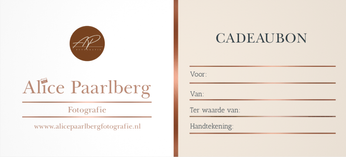 Alice Paarlberg fotografie, portretfotografie, bruidsfotografie, fotograaf Alkmaar, kindportret, fotografiecursus, 