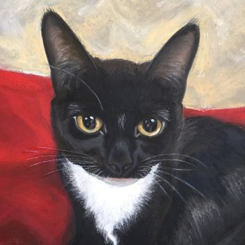 Tuxedo