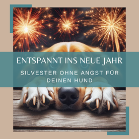 bild hundeschule fuer alle felle