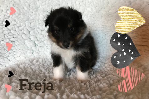 Freja 4 uger ligner sin mor mere og mere.
