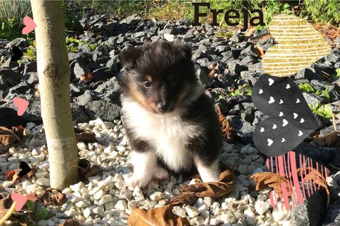 Freja er blevet 5 uger og super charmerende.