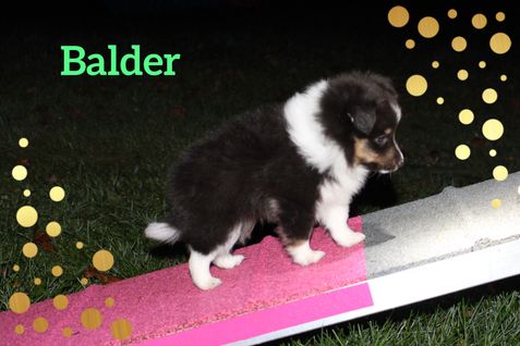 Balder 6½ uger på tur i mørket.