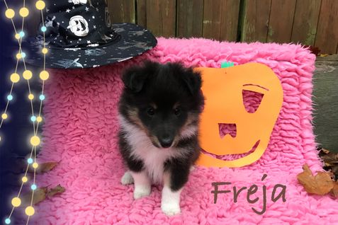 Freja 7 uger har klædt sig ud som sin mor til Halloween.
