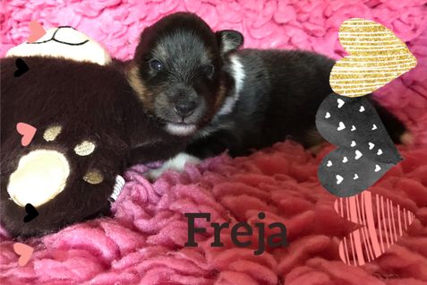 Freja 2 uger holder øje med fotografen.