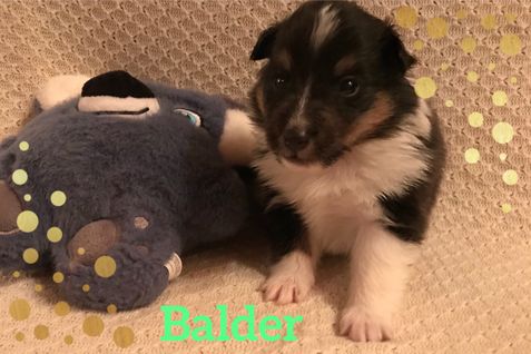 Balder er blevet 3 uger og er dejlig opsøgende.