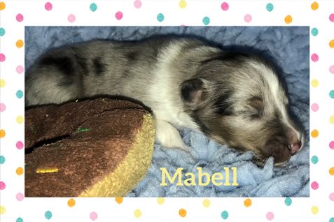 Mabell 1 uge.