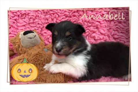 Annabell 3 uger.