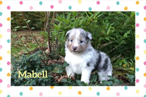 Mabell 4 uger.