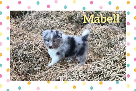 Mabell 6 uger.