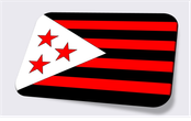Nouveau Rico