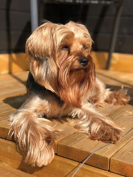 Foto: Hilde M Grensbråten