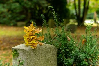 Herbst auf dem Ohlsdorfer Friedhof_HH (20)
