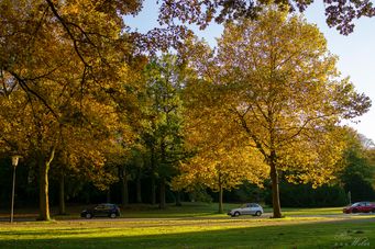 Herbst auf dem Ohlsdorfer Friedhof_HH (40)
