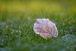 Eiskristalle_01