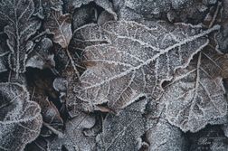 Eiskristalle_04