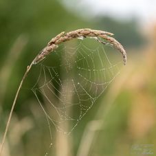 Glasperlenspiel