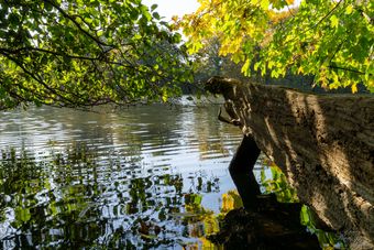 Am Bramfelder See_HH (03)