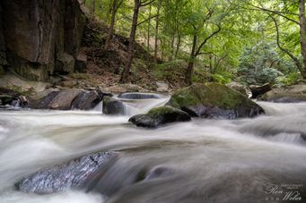 Die Bode im Harz (01)