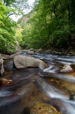 Die Bode im Harz (02)