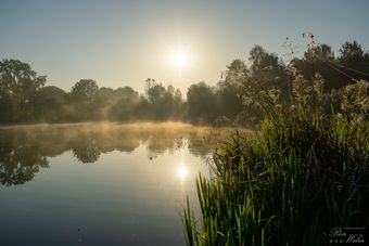 Sonnenaufgang an der Pinnau (02)