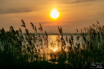 Sonnenuntergang in der Wedeler Marsch