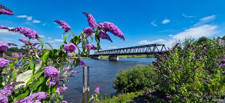 2024-07-20_Lauenburg/Elbe