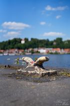 2024-07-20_Lauenburg/Elbe