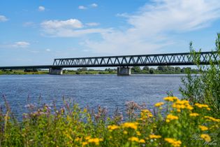 2024-07-20_Lauenburg/Elbe