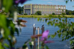 2024-07-20_Lauenburg/Elbe