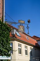 2024-07-20_Lauenburg/Elbe