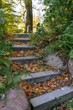 Treppe im Park