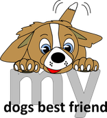 Positive Reinforcement Training