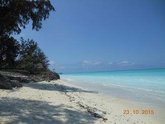 En av alla de vackra stränderna på Zanzibar