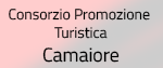 turistica-camaiore-150x63