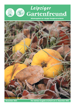 LGF November 2021