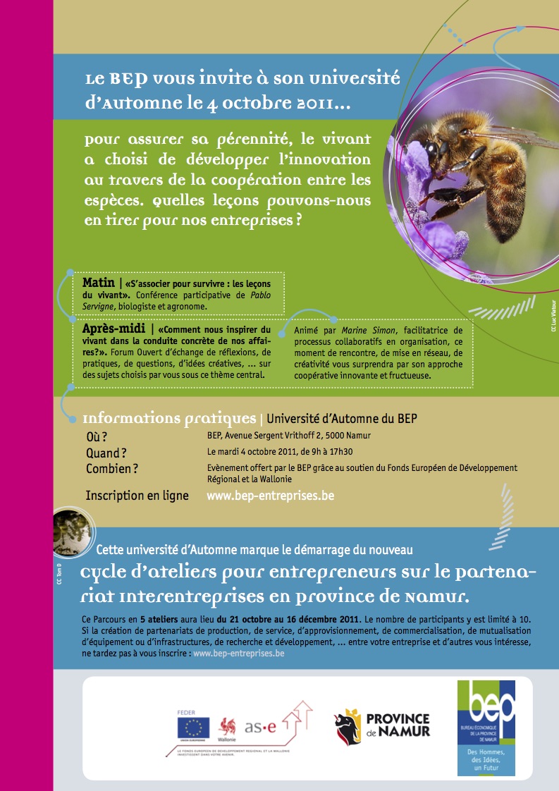 BEP_ecores_recto_10